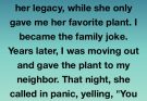 The Plant Grandma Left Me