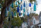 Glass Bottles in Trees: What Do They Signify?