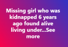 Six Years After a Little Girl Named Karen Vanished Without a Trace and Her Case Slowly Faded Into Silence, Investigators Followed a Single Tip That Led Them Across the Country to a Classroom Where an Eleven-